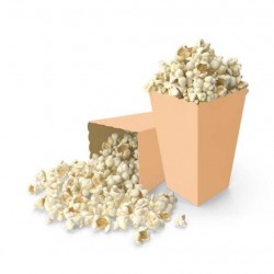 Somon Mısır Popcorn Kutusu - 8 Adet